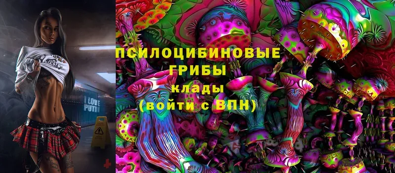 Псилоцибиновые грибы ЛСД  Кирсанов 